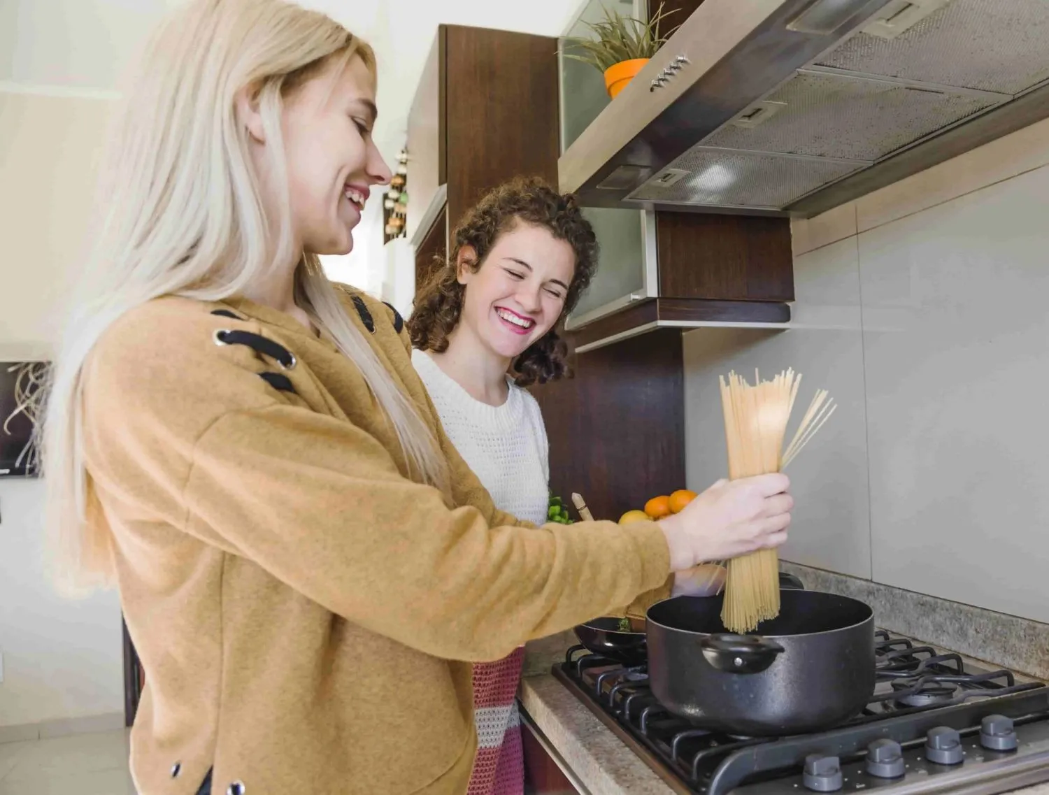 Hollandalı fırın seçimi