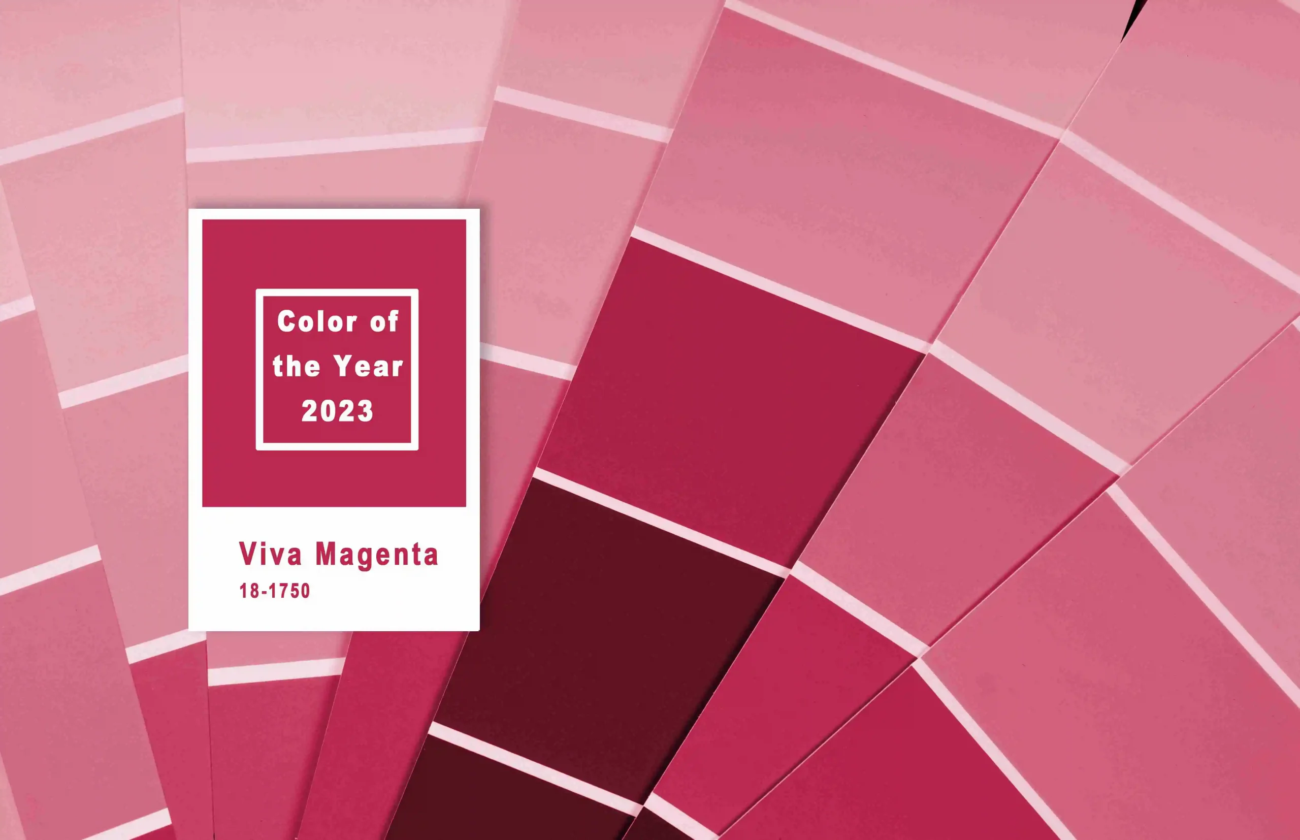 Color Trends in 2023